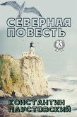 Northern story (eBook, ePUB)