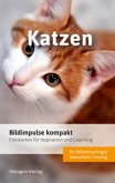Bildimpulse kompakt: Katzen Bildimpulse kompakt: Katzen