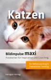 Bildimpulse maxi: Katzen
