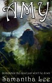 Amy (eBook, ePUB) Amy (eBook, ePUB)