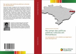 No campo das políticas públicas culturais em Pernambuco