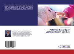 Potential hazards of Leptospirosis in Canines