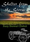 Shelter from the Storm (eBook, ePUB)