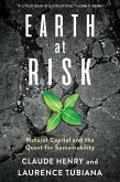 Earth at Risk (eBook, ePUB)