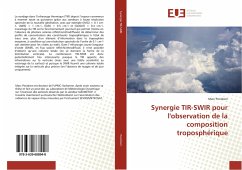 Synergie TIR-SWIR pour l'observation de la composition troposphérique - Pondrom, Marc