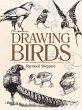 Drawing Birds - Bild 1
