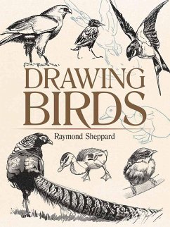 Drawing Birds - Sheppard, Raymond