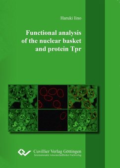 Functional analysis of the nuclear basket and protein Tpr - Iino, Haruki