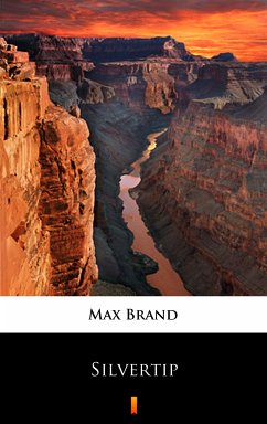 Silvertip (eBook, ePUB) - Brand, Max