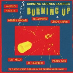 Burning Up-Burning Sounds - Diverse