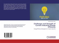 Challenges and Strength of Current Industrial Energy Efficiency