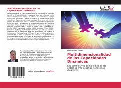 Multidimensionalidad de las Capacidades Dinámicas - Miranda Torrez, Julian