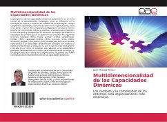 Multidimensionalidad de las Capacidades Dinámicas