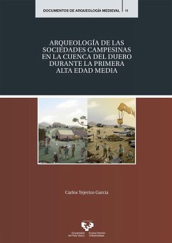 Arqueología de las sociedades campesinas en la cuenca del Duero durante la Primera Alta Edad Media - Tejerizo García, Carlos