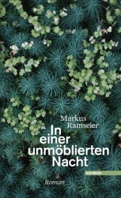 In einer unmöblierten Nacht - Ramseier, Markus