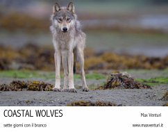 Coastal Wolves. Sette giorni con il branco (eBook, ePUB) - Venturi, Max
