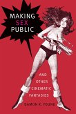 Making Sex Public and Other Cinematic Fantasies