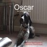Oscar - Bild 1