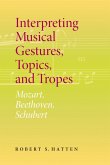 Interpreting Musical Gestures, Topics, and Tropes (eBook, ePUB)