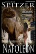 Napoleon - Bild 1