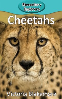 Cheetahs - Blakemore, Victoria