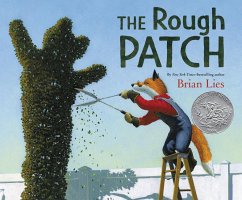 The Rough Patch - Lies, Brian
