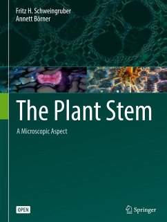 The Plant Stem - Schweingruber, Fritz H.;Börner, Annett