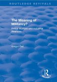 The Meaning of Militancy? (eBook, PDF)