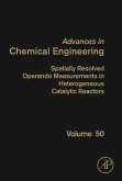 Spatially Resolved Operando Measurements in Heterogeneous Catalytic Reactors (eBook, ePUB)