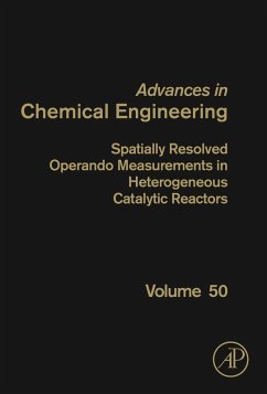 Cover Spatially Resolved Operando Measurements in Heterogeneous Catalytic Reactors (eBook, ePUB)