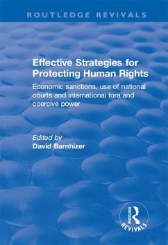 Effective Strategies for Protecting Human Rights (eBook, PDF)