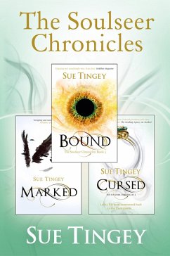 Cover The Soulseer Chronicles (eBook, ePUB)