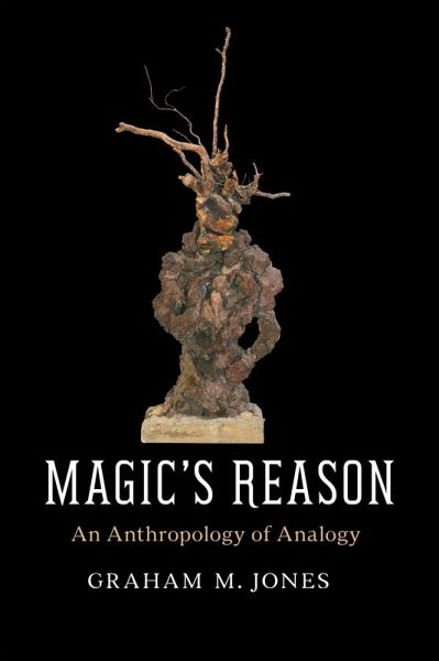 Magic's Reason (eBook, ePUB)