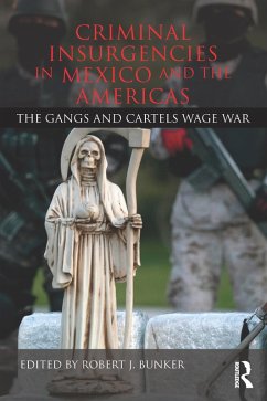 Criminal Insurgencies in Mexico and the Americas (eBook, ePUB)