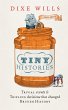 Tiny Histories (eBook, ePUB) - Bild 1