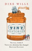Tiny Histories (eBook, ePUB)