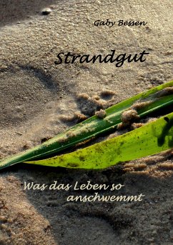 Strandgut (eBook, ePUB)