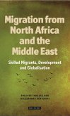 Migration from North Africa and the Middle East (eBook, ePUB)