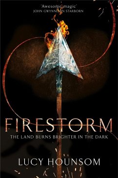 Firestorm (eBook, ePUB) - Hounsom, Lucy