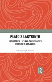 Plato's Labyrinth (eBook, ePUB)
