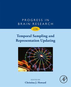 Temporal Sampling and Representation Updating (eBook, ePUB)