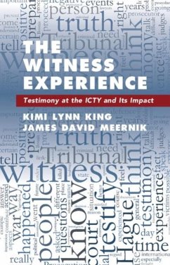 Witness Experience (eBook, PDF) - King, Kimi Lynn
