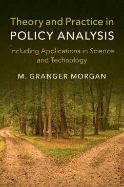 Cover Theory and Practice in Policy Analysis (eBook, ePUB)
