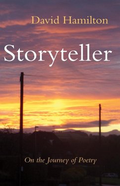 Storyteller (eBook, ePUB) - Hamilton, David