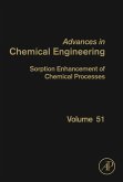 Sorption Enhancement of Chemical Processes (eBook, ePUB)