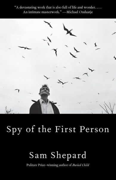 Spy of the First Person (eBook, ePUB) Spy of the First Person (eBook, ePUB)