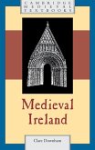 Medieval Ireland (eBook, ePUB)