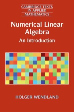 Numerical Linear Algebra (eBook, PDF) - Wendland, Holger