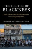 Politics of Blackness (eBook, PDF)