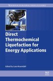 Direct Thermochemical Liquefaction for Energy Applications (eBook, ePUB)